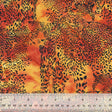 9208Q-2-1-015Ud000004XxeyIAC.jpg