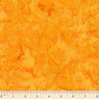 BC02Q-X-1-0155Y000005jATZQA2.jpg