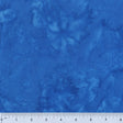 BC17Q-X-1-0155Y000005jAUmQAM.jpg