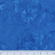 BC17Q-X-1-0155Y000005jAUmQAM.jpg