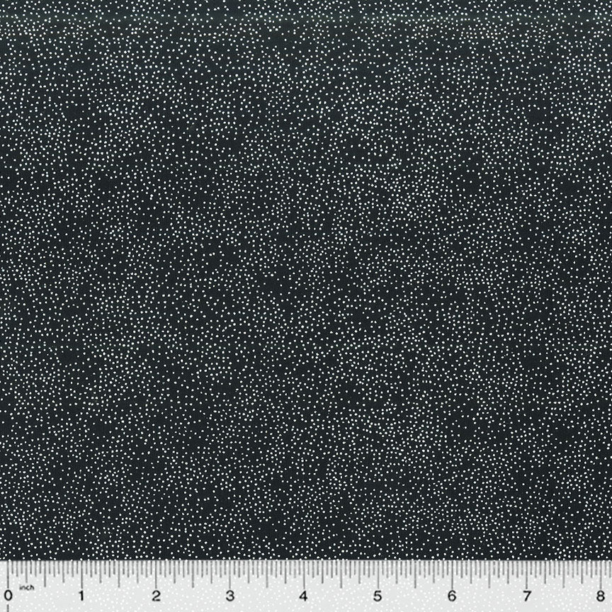 BC31Q-X-1-0155Y000005jAVVQA2.jpg
