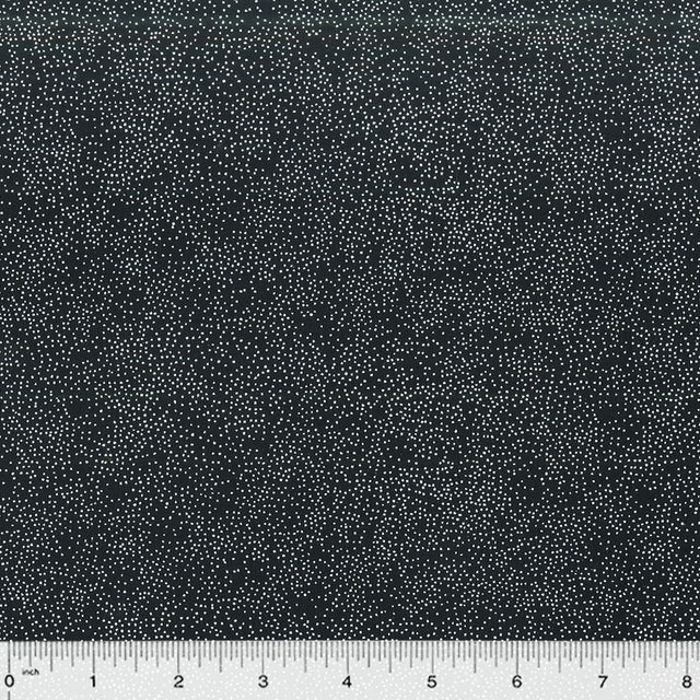 BC31Q-X-1-0155Y000005jAVVQA2.jpg