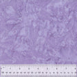 BCB13Q-X-1-015Ud000001IKqwIAG.jpg