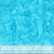 BCB19Q-X-1-015Ud000001IGydIAG.jpg