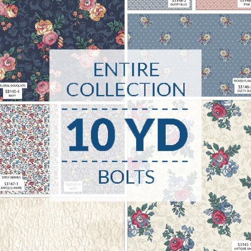 BEDF10YD-X-1-015Ud000008DsAsIAK.jpg