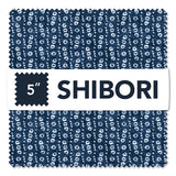 CP5SHIB-X-1-015Ud00000GUeEwIAL.jpg