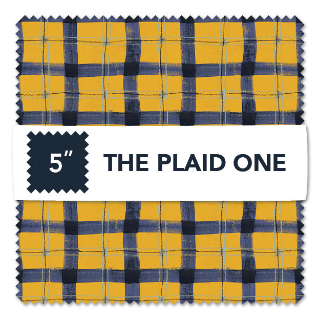 The Plaid One Marcia Derse CP5TPLO-X Multi 5