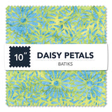 DAISYCP10-X-1-015Ud00000GQpH0IAL.jpg