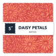 DAISYCP5-X-1-015Ud00000GQpLqIAL.jpg