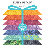 DAISYFATQ-X-1-015Ud00000GQpYkIAL.jpg