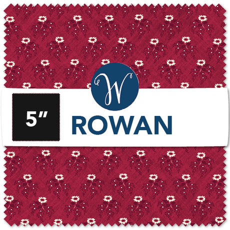 ROWACP5-X-1-015Ud000007j2MeIAI.jpg